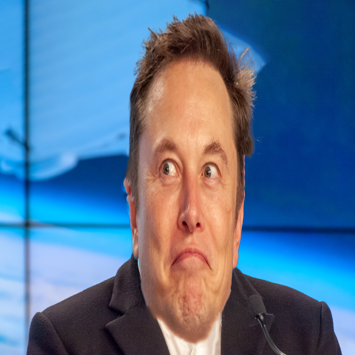 elong musk